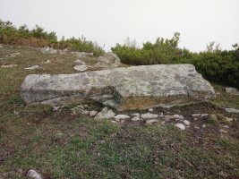 Naparbaso Punta zutarria (2017)