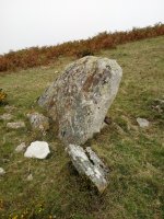 Pinpil II zutarria 2