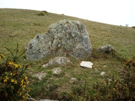 Pinpil II zutarria (2017)