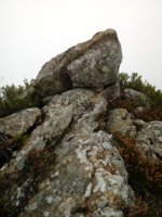 Aspoarri zutarria (2017)