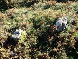 Anbotoste trikuharria 3