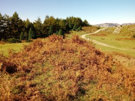 Anbotopeko tumulua 2