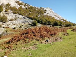 Anbotopeko tumulua (2017)