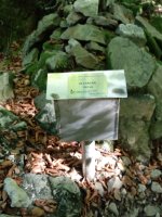 Ollargan (843m) tontorreko postontzia