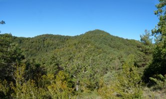 Monitas ekialdeko aldea