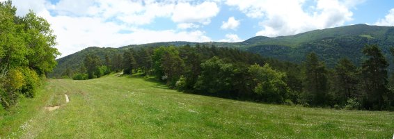 Gainaldeko baso eta larreak