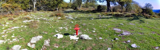 Tontorra Kokapen Berrian