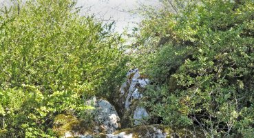 Aritzalde edo San Gregorioko gailurra