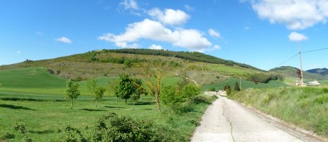 Argonga Urrozko bidetik