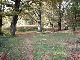 GR12 bideska Alleko aldean