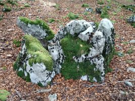 Ansaretako Zaparra trikuharria 3