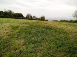 Iturrieta trikuharria