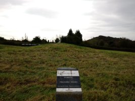 Iturrieta trikuharria (2017)