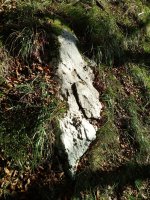 Aratzkosaroi zutarria 4