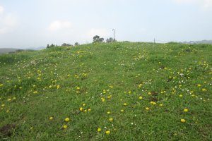 Túmulo Meaga  (03-2017)