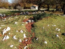 Ergibil trikuharria 3