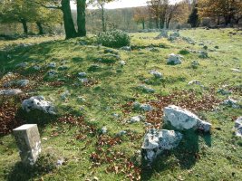 Ergibil trikuharria 2