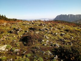 Saiputzueta trikuharria (2017)