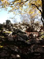 Arrietabaso (1018m) tontorra