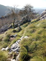 Arrietabaso bidean, bideska Neberazarretik