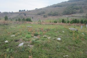 Túmulo Ipinarrieta  (Noviembre 2017)