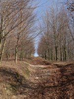 Pagadiko goikaldeko bidea