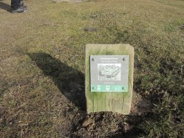 Petroglifo Zelaibizkar 1  (Diciembre 2016)