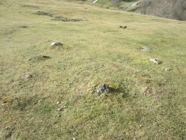 Cromlech Oltzako Arratea 2   (Diciembre 2016)