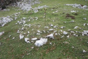 Túmulo Elorrola   (Noviembre 2017)