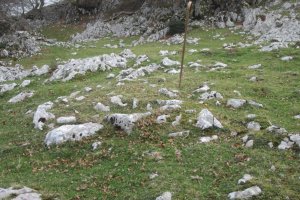 Túmulo Elorrola   (Noviembre 2017)