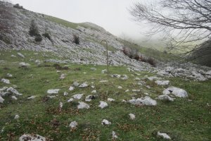 Túmulo Elorrola   (Noviembre 2017)