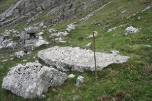 Monolito Arbelar   (Noviembre 2017)