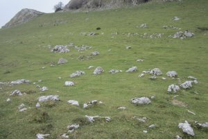 Círculo Elola  (Noviembre 2017)