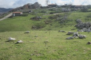 Círculo Bolaleku  (Noviembre 2017)