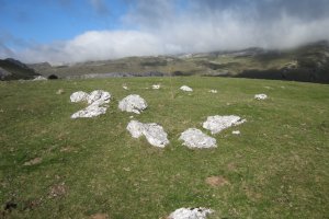 Círculo Bolaleku  (Noviembre 2017)