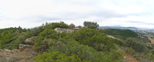 Txingarra mendiko gailurra