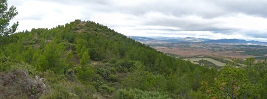 Gazteluzar Larrabeltzetik