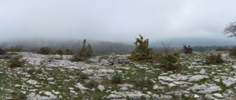 Kapanastako gailurra