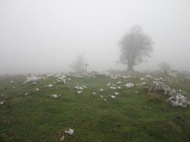 Túmulo Anular Igaratza Sur  (Noviembre 2015)