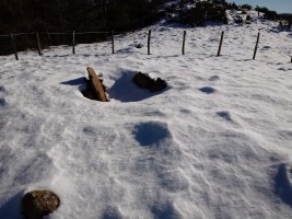 Gizaburua trikuharria 3