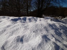 Pagobedeinkatua tumuloa 3