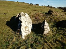 Kalamua II trikuharria 3