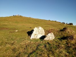 Kalamua II trikuharria 2