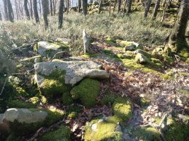 Urietagaña trikuharria 2