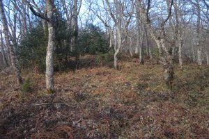 Dólmen Gorosti (Beuntza)   Enero 2018