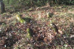 Dólmen Gorosti (Beuntza)   Enero 2018