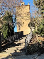 Asuncion eliza, Ukar