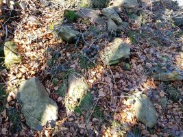 Igartza Mendebaldea trikuharria 3