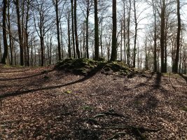 Portuzargaña 2 Mendebaldea trikuharria (2018)