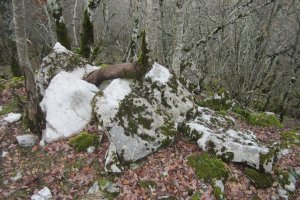 Dólmen Egillor  (Enero 2018)